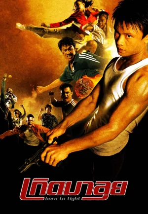 Born To Fight (2004) เกิดมาลุย (ดูหนังที่ Nung-TH)